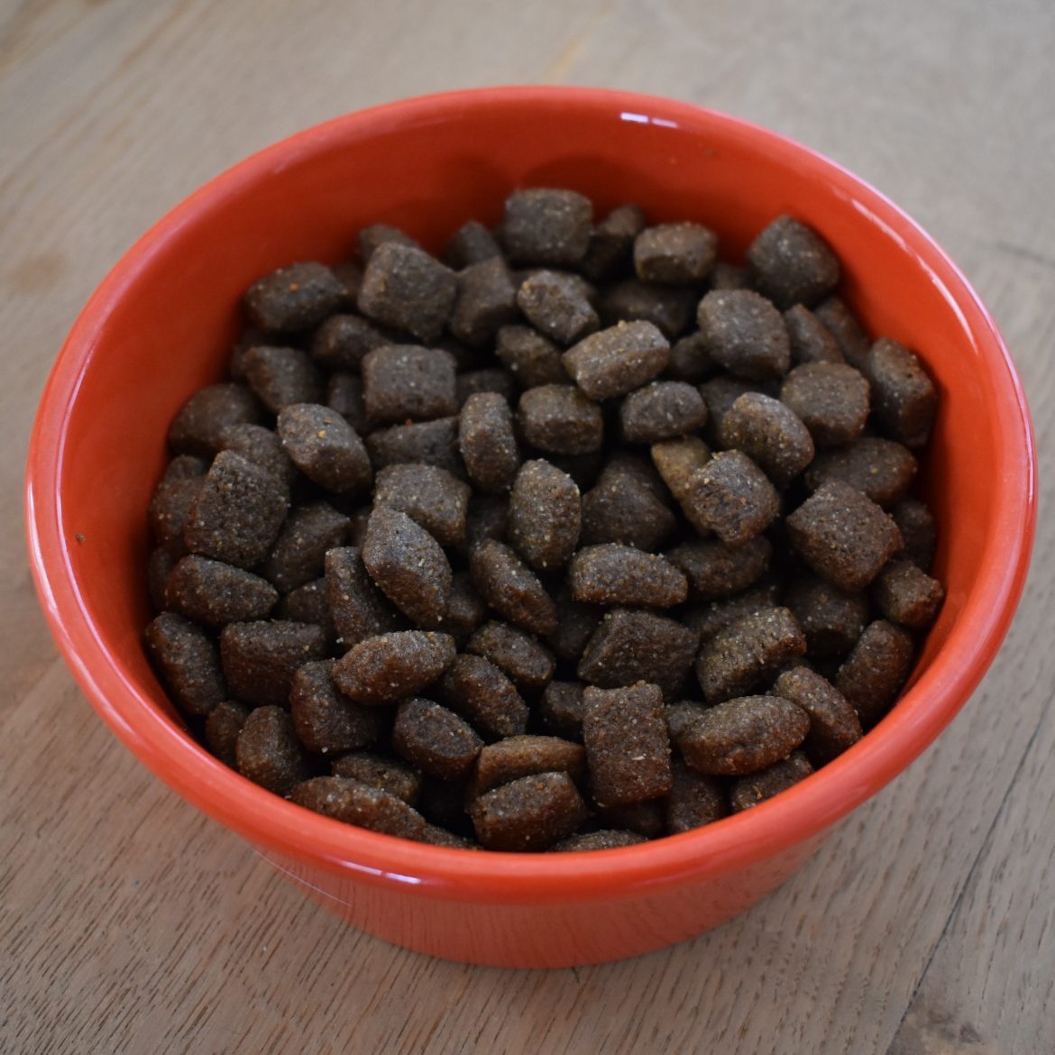 Trockenfutter vs. hochwertiges Nassfutter von ANIfit Eine orange Schüssel mit braunen, quadratischen Katzennäpfen.