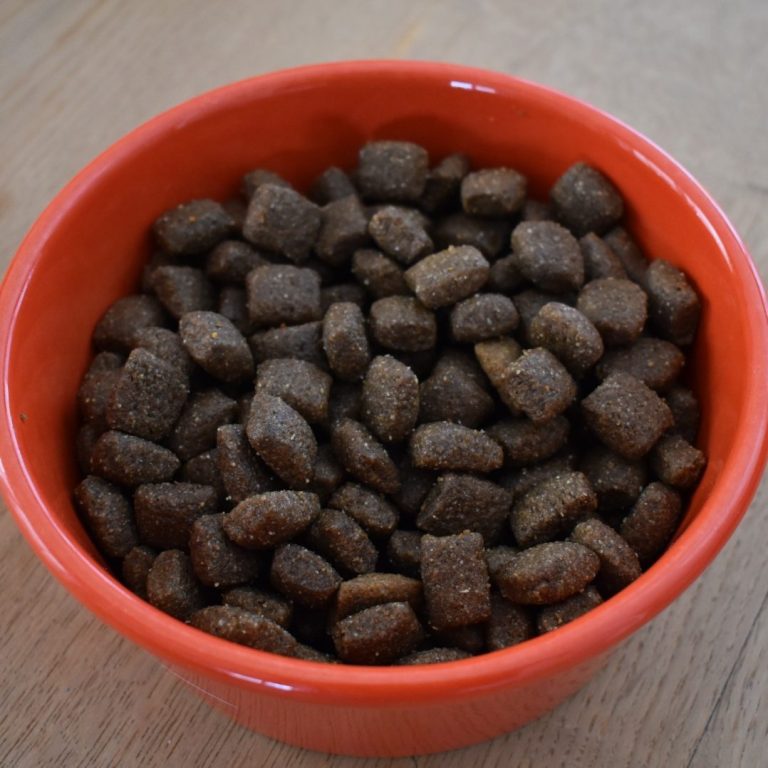 Trockenfutter für Hunde in rotem Napf