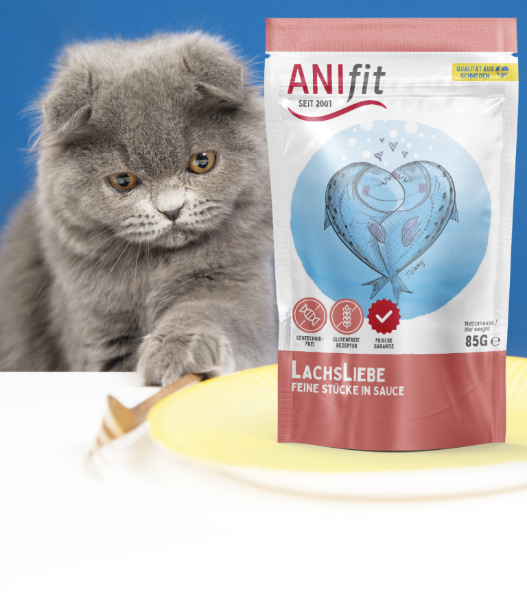 Grauer Kater sitzt neben einer Packung ANIfit Katzenfutter auf einem Teller.