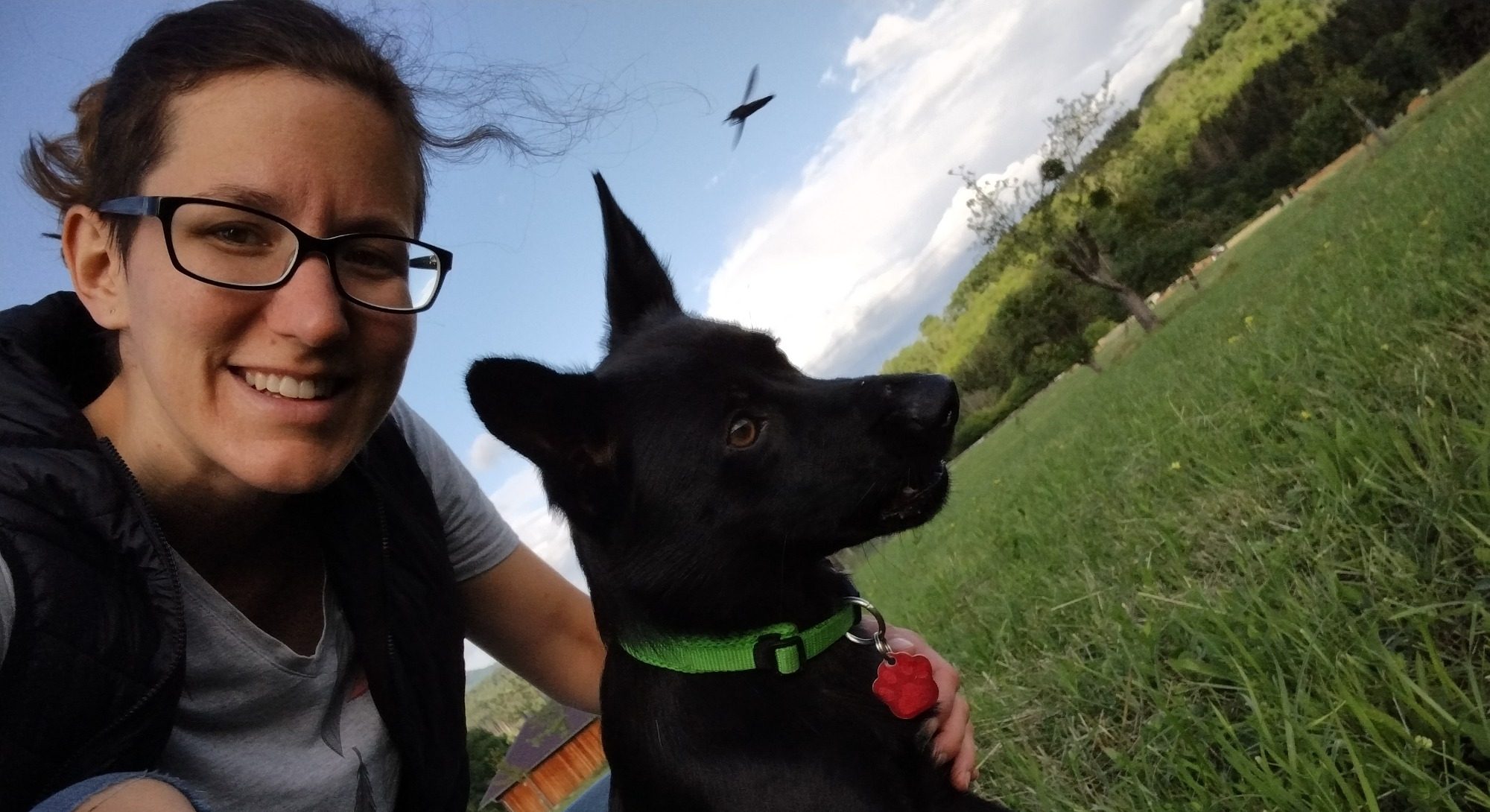Ein Labrador (Hund) wird von einer Frau mit Salat gefüttert.