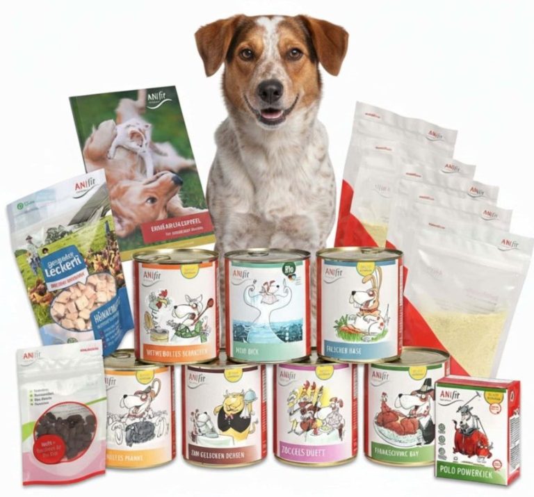 ANifit Futterumstellungspaket für Hunde Verschiedene Tiernahrungsprodukte, darunter Dosenfutter, Trockenfutter und Leckerlis.