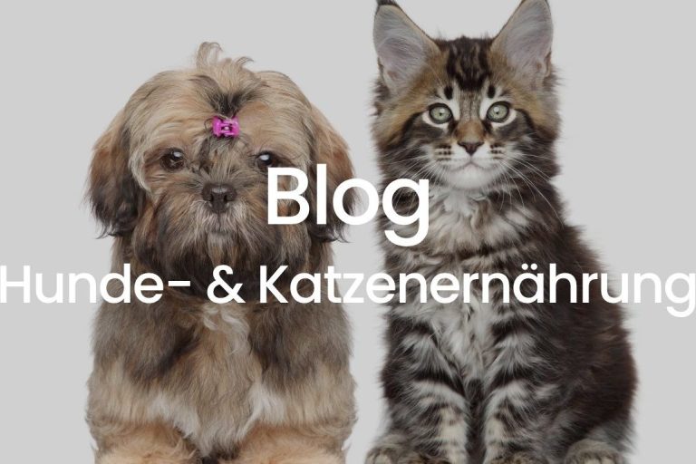Blog zur Artgerechten Hunde- und Katzenernährung Hunde- und Katzenblog mit einem Hund und einer Katze nebeneinander.