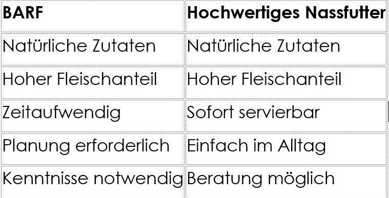 ANIfit Hochwertiges Nassfutter für Hunde Schwarzer Hund läuft durch ein mit Morgentau bedecktes Feld bei Sonnenaufgang.