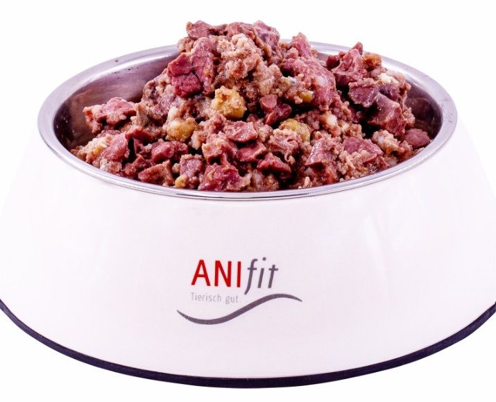 Hochwertiges Hundefutter von ANIfit ANIfit-Hundefutter in einem weißen Napf.