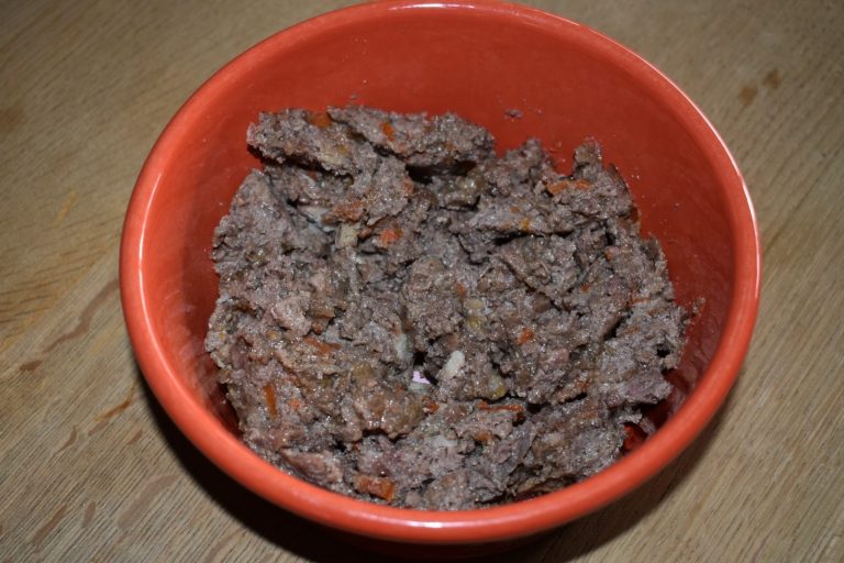 Hochwertiges Nassfutter für Hunde entdecken Schüssel mit zerkleinertem, gekochtem Fleisch.