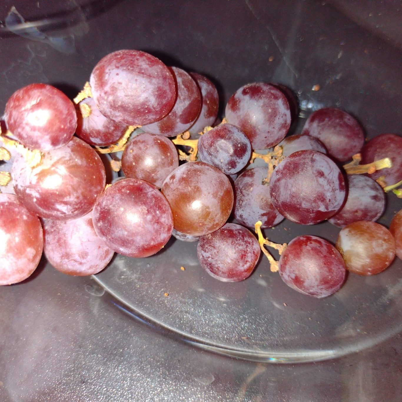  Eine kleine Traubenschale mit roten Trauben, einige sind reif, andere unreif.