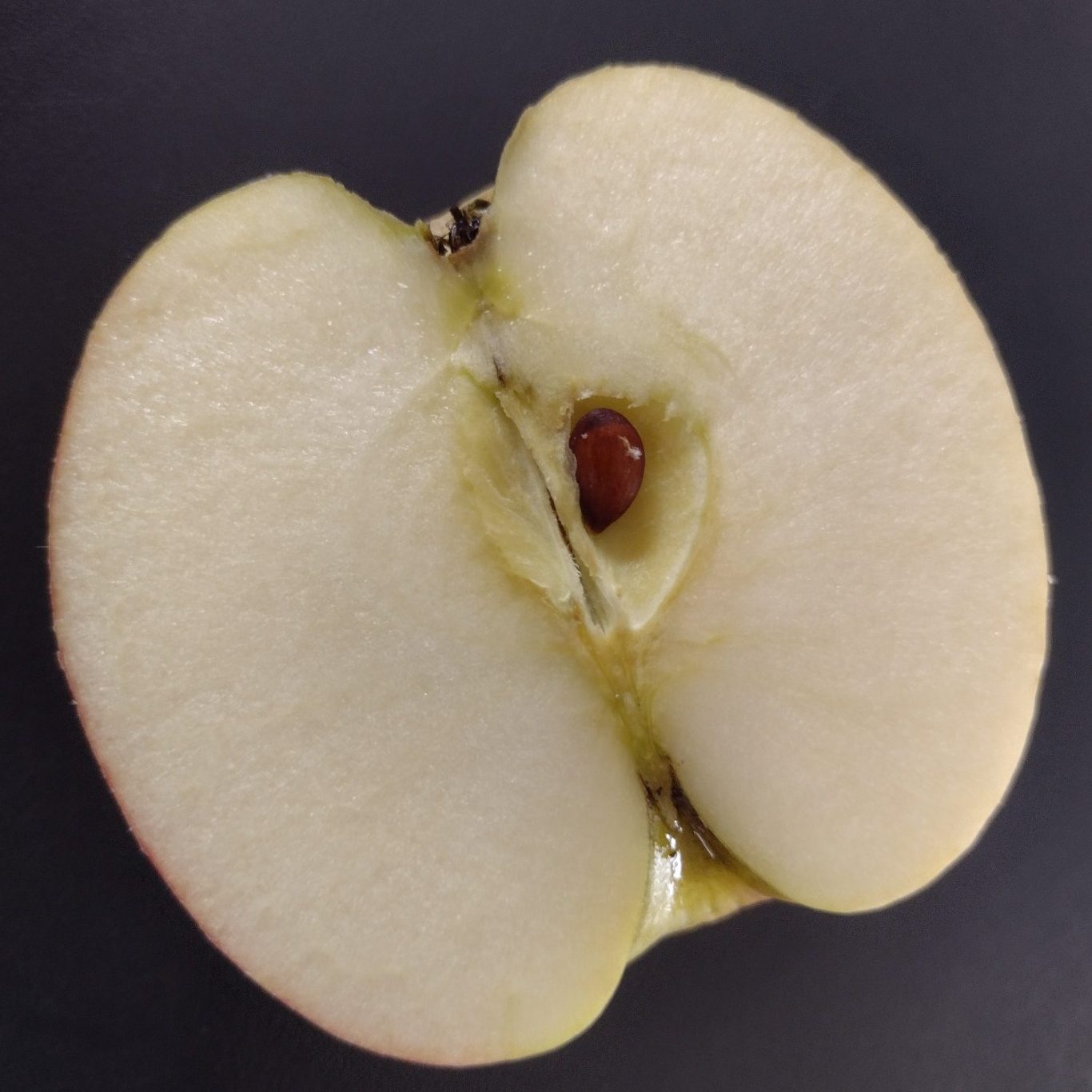 Ein halbierter Apfel mit einer hellen, saftigen Innenseite und sichtbarem Kern.