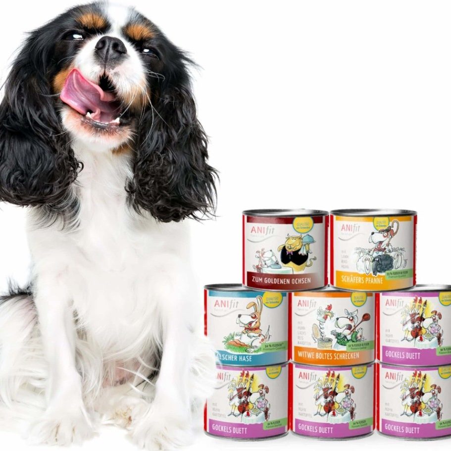 Hochwertiges Nassfutter für Hunde von ANIfit Ein glücklicher Hund sitzt neben Stapeln von Konservendosen für Hundefutter.